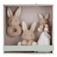 Giftbox Baby Bunny